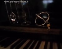 Rental 50 shades of grey dungeon